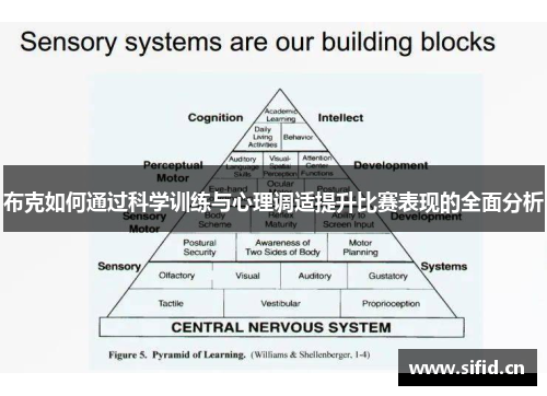 布克如何通过科学训练与心理调适提升比赛表现的全面分析 布克如何通过科学训练与心理调适提升比赛表现的全面分析